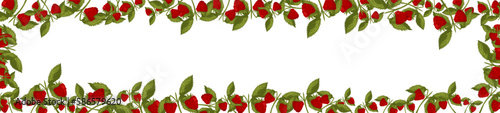 Spring horizontal border with raspberries and leaves. Summer vector banner isolated white background cartoon style..