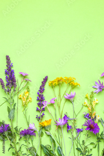 a bouquet of various summer wildflowers on a delicate light green background. Cornflower, sage and buttercups © MK studio