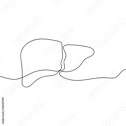 Single one line drawing liver anatomy. Human organ vector illustration. Medical concept.