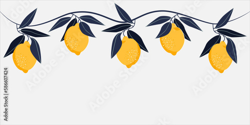 A branch of a creeper with lemons with the original coloring of the foliage. Can be used as a banner or as a label, postcard. Light background. Vector illustration.