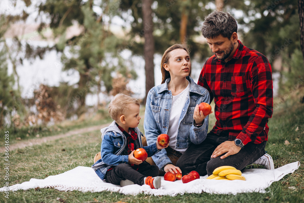 Young family in park having picnic