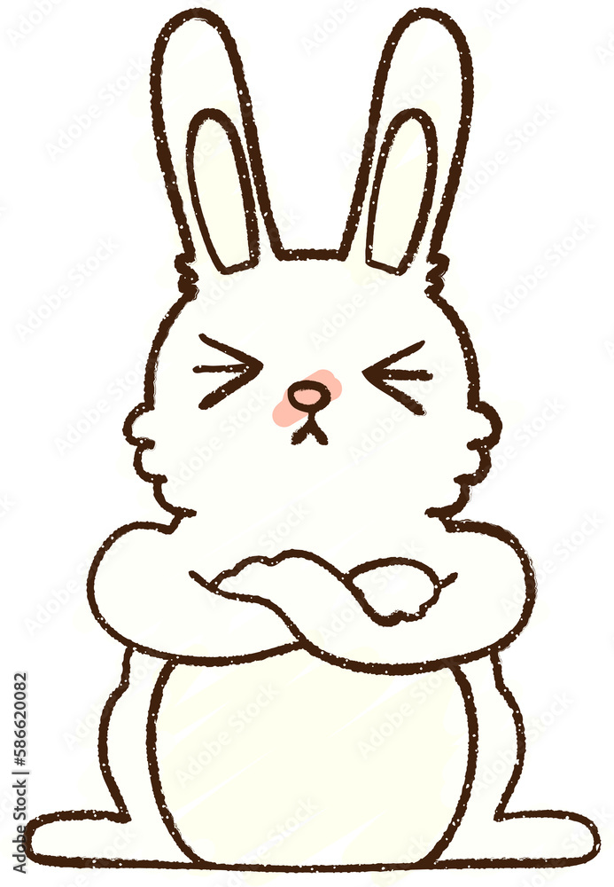 Rabbit Chalk Drawing Rabbit Chalk Drawing