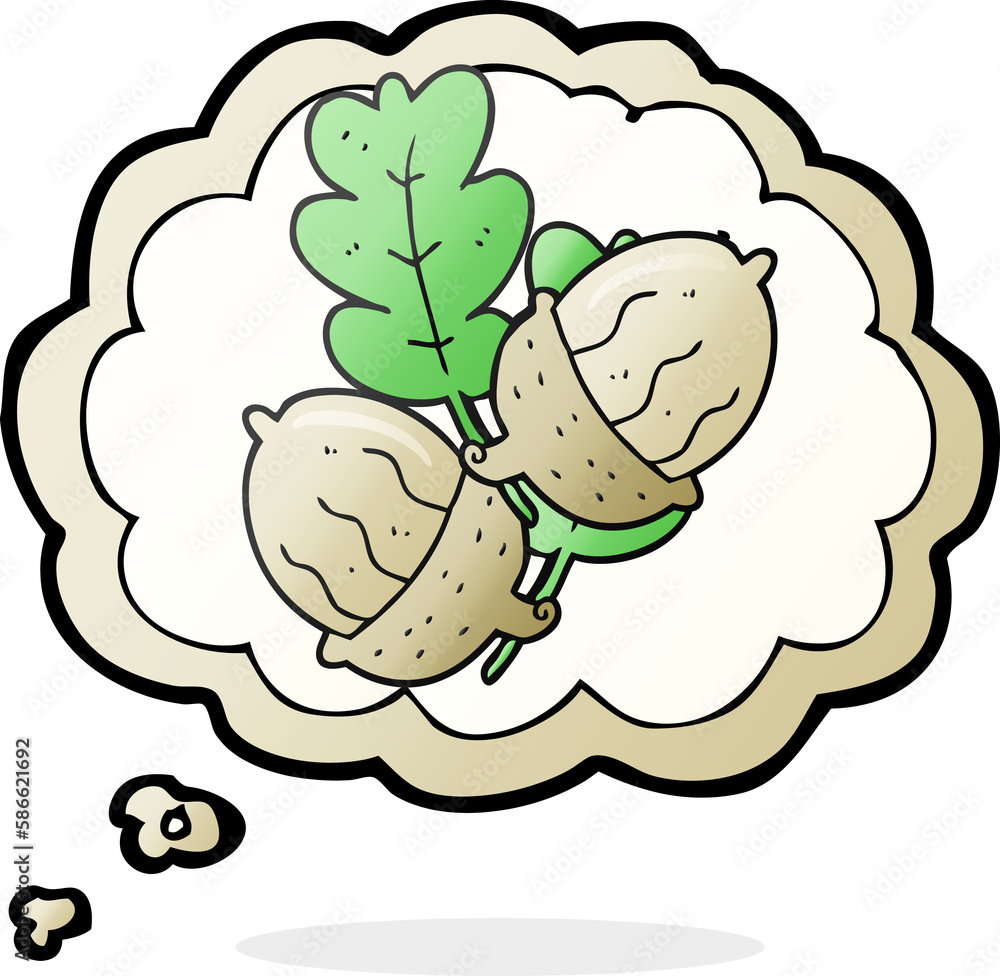 thought bubble cartoon acorns thought bubble cartoon acorns