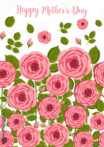 Mother s day greeting card. Seamless pattern with blooming roses. Botanical vector illustration isolated for postcard  poster  ad  decor and other uses. Festive text can be replaced.