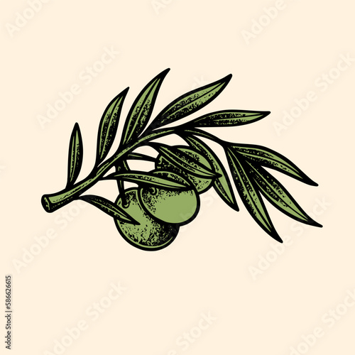 Hand Drawn Olive Tree Illustrations