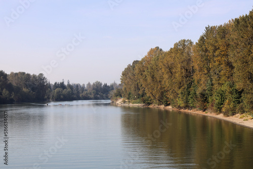 Scenery with tranquil river and wall of trees