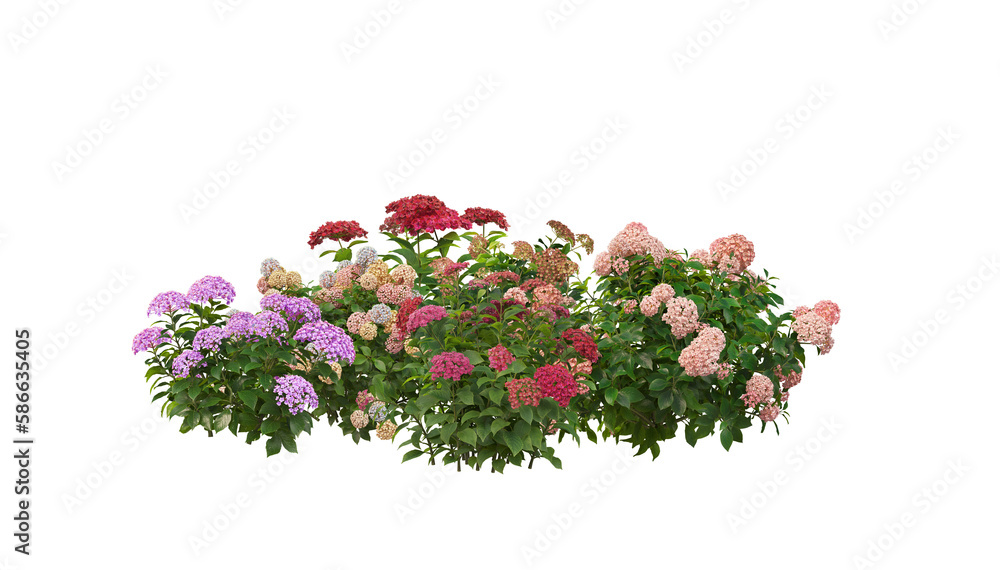 Fototapeta premium A small garden with many flowers and plants on a transparent background.