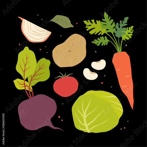 Borsch ingredients. Vector illustration. Isolated object on black background.