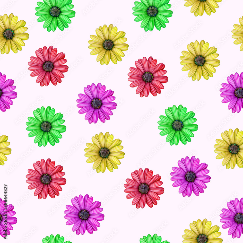 Purple osteospermum daisy flower pattern Purple osteospermum daisy flower pattern
