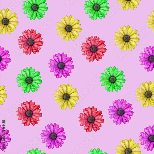 Fototapeta Naklejka Na Ścianę i Meble -  Purple osteospermum daisy flower pattern
