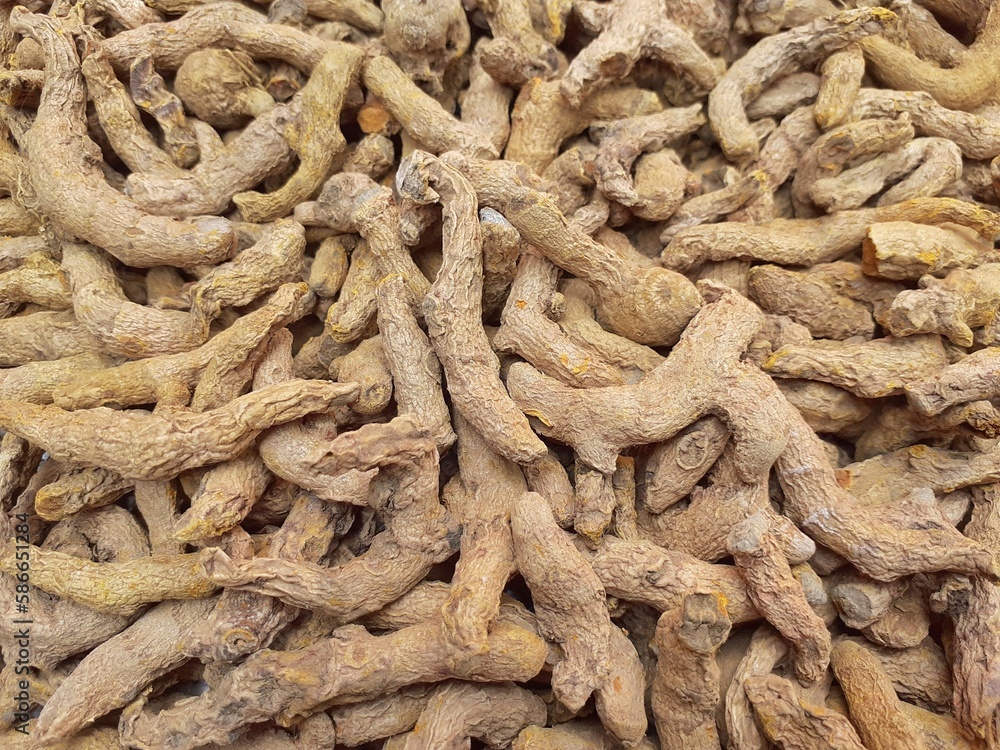 Dry turmeric background. Turmeric is a common spice that comes from the root of Curcuma longa. Turmeric powder is a deep, golden-orange spice known for adding color, flavor and nutrition to foods Dry turmeric background. Turmeric is a common spice that comes from the root of Curcuma longa. Turmeric powder is a deep, golden-orange spice known for adding color, flavor and nutrition to foods