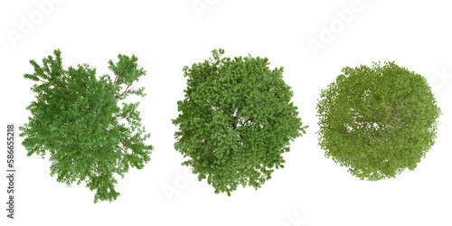 top view collection tree PNG transparent design, 3d illustration rendering