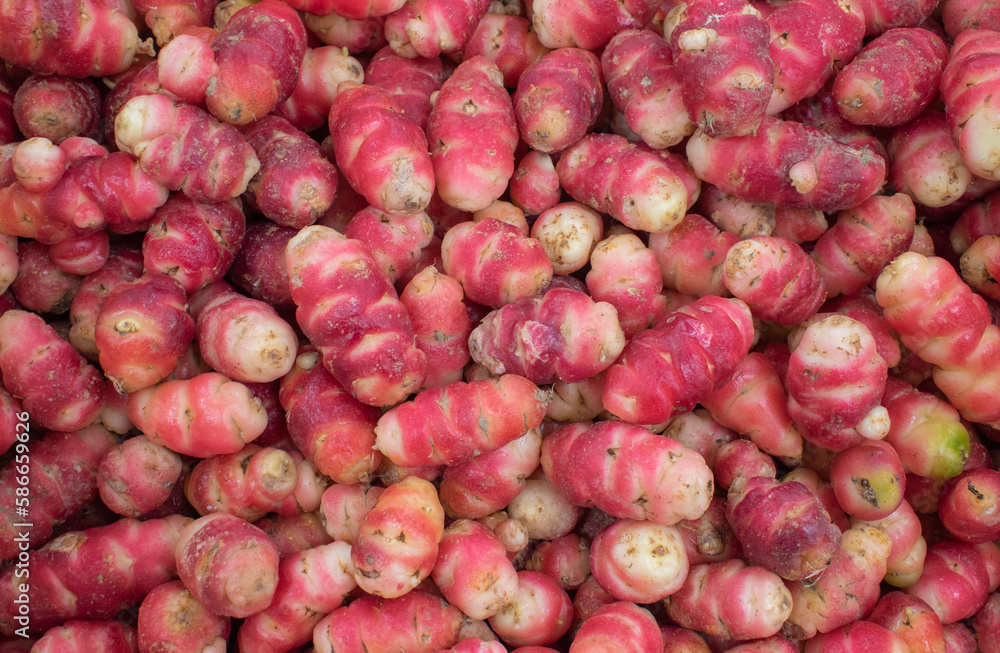 Oca du Pérou, tubercule comestible originaire des Andes Oca du Pérou, tubercule comestible originaire des Andes