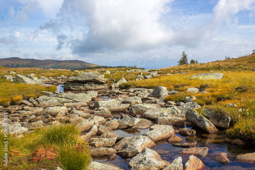 Fototapeta Naklejka Na Ścianę i Meble -  A clear mountain stream on the green meadows in the Austrian Alps