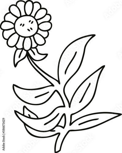 quirky line drawing cartoon daisy flower