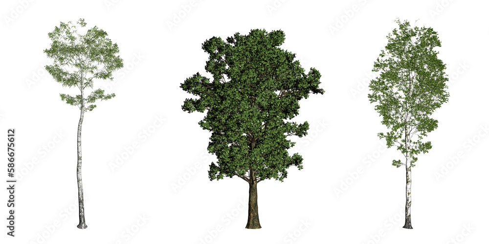 Fototapeta premium Set of 3d tree rendering, for digital composition, illustration, architecture visualization
