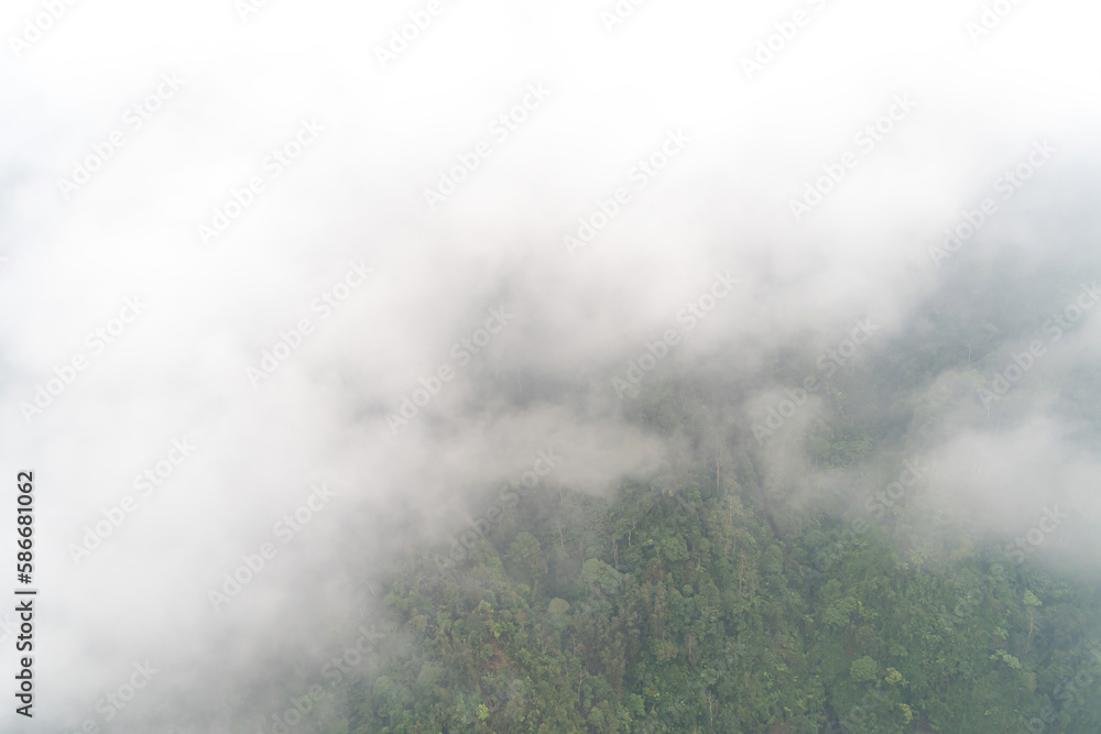 View of rice fields on terraced, hills, forest with misty and fog, view from cable car to Mount Fansipan