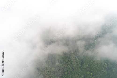 View of rice fields on terraced, hills, forest with misty and fog, view from cable car to Mount Fansipan © CravenA