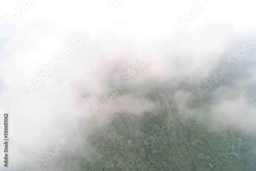 View of rice fields on terraced, hills, forest with misty and fog, view from cable car to Mount Fansipan