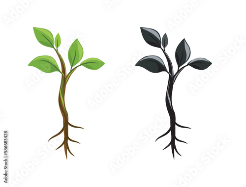 tree seeds vector illustration collections	