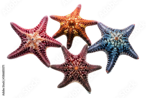 a GROUP OF isolated purple, orange starfish, ocean-themed photorealistic illustration on a transparent background cutout in PNG, GENERATIVE AI