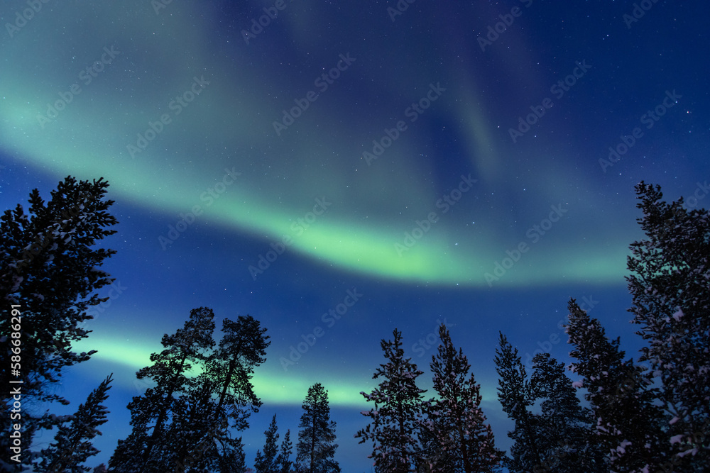 stunning aurora borealis	
