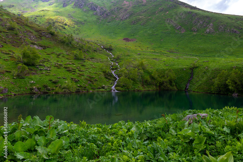 picturesque mountain stream