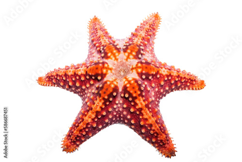 an isolated purple, orange starfish, ocean-themed photorealistic illustration on a transparent background cutout in PNG, generative ai