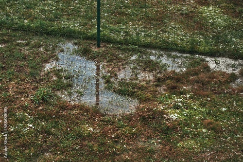 Rain drainage and sewage problems. Hydrophobic and dry soil barely absorb water. Standing water in yard photo