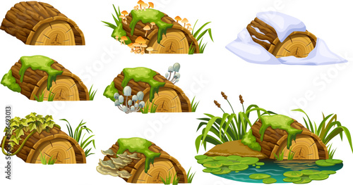 Stump with liana branches, ivy, cattails, bulrush. Log in honey mushrooms, under snow, with fungus. Cartoon broken tree in moss in swamp jungle. Isolated vector elements game on white background.