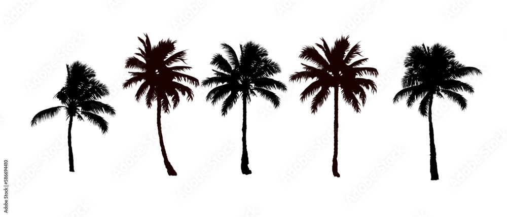 set of black silhouettes of a palm tree, silhouette of a palm tree isolated