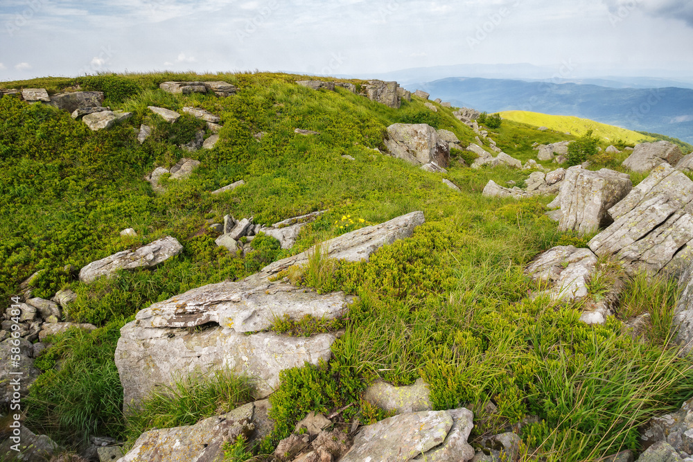 wonderful summer landscape in mountains. grassy meadows and rolling hills. boulders and stones on the hillside. picturesque scene in morning light. ukrainian carpathians countryside scenery wonderful summer landscape in mountains. grassy meadows and rolling hills. boulders and stones on the hillside. picturesque scene in morning light. ukrainian carpathians countryside scenery