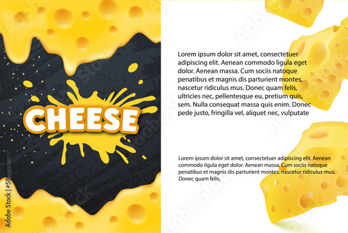 Cheese label eco food poster, banner menu product. Vector illustration.