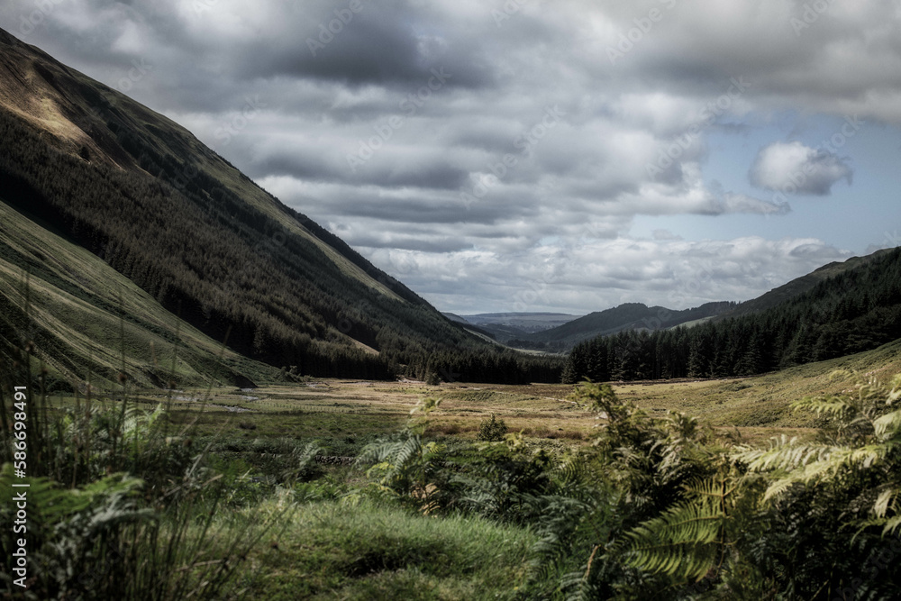 Valley looking towards Moffat, Scotland