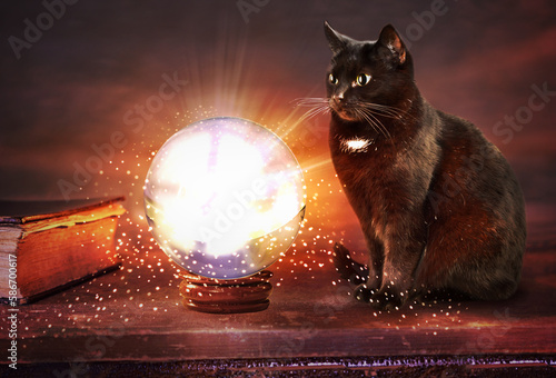 fortune teller medieval crystal ball with cat