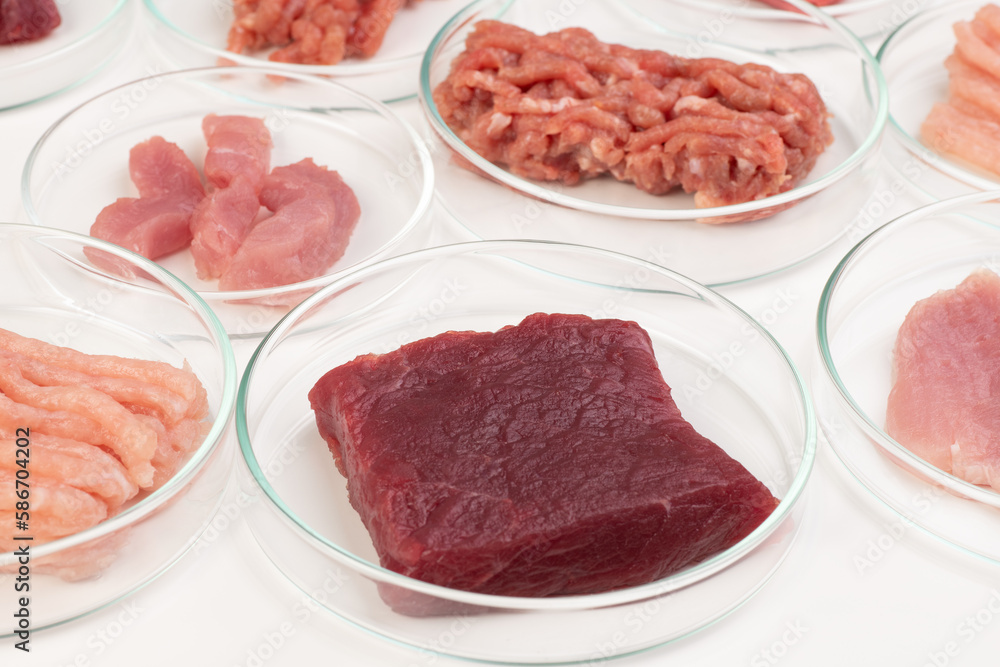 Checking meat quality in a laboratory. Chicken, beef and pork samples in petri dishes, top view. Food quality concept. Checking meat quality in a laboratory. Chicken, beef and pork samples in petri dishes, top view. Food quality concept.