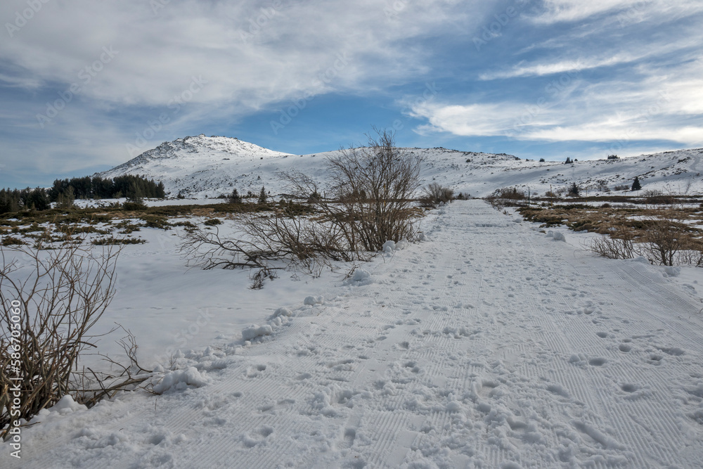 Winter landscape of Vitosha Mountain, Bulgaria Winter landscape of Vitosha Mountain, Bulgaria