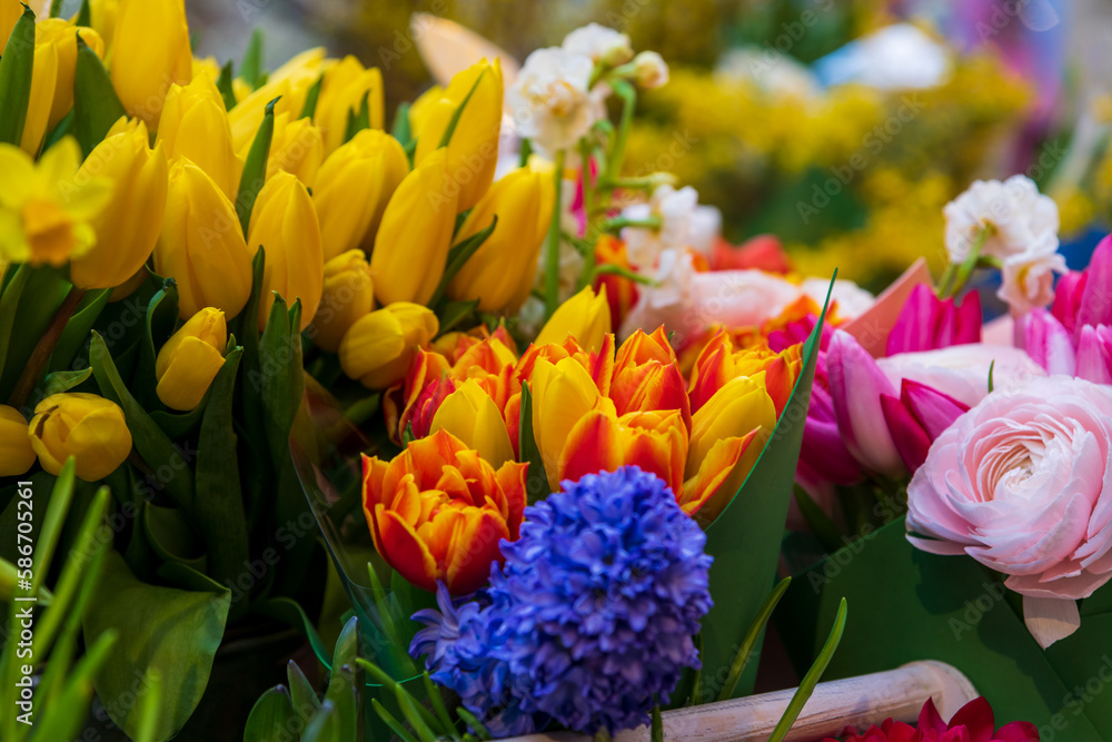 Fototapeta premium Close-up view of various multi-colored flowers (roses, tulips and hyacinths) on showcase of florist shop. Soft focus. Flower business theme.