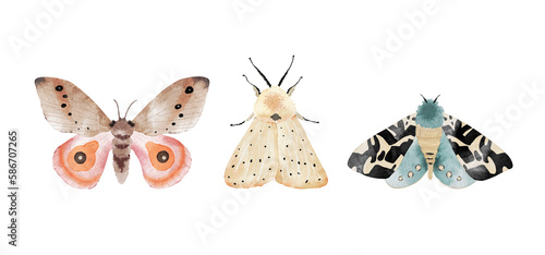 Set of multicolored butterflies on a white background, watercolor illustration.
