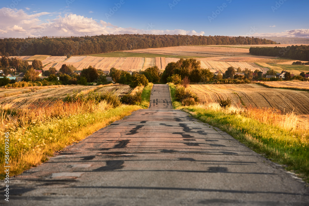 An old road leading down through the rural landscapes of the Lublin region - obrazy, fototapety, plakaty 