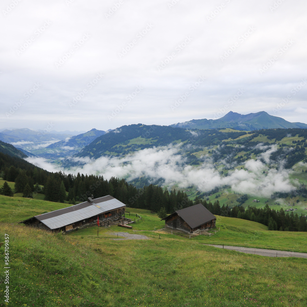 View from Vordere Walig. Saanenland Valley on a rainy summer day.