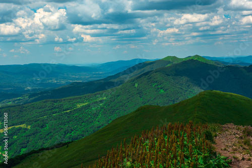 Fototapeta Naklejka Na Ścianę i Meble -  mountain peaks in the Bieszczady Mountains, pastures
