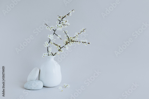 Beautiful blossom branches in a white vase on a grey background.