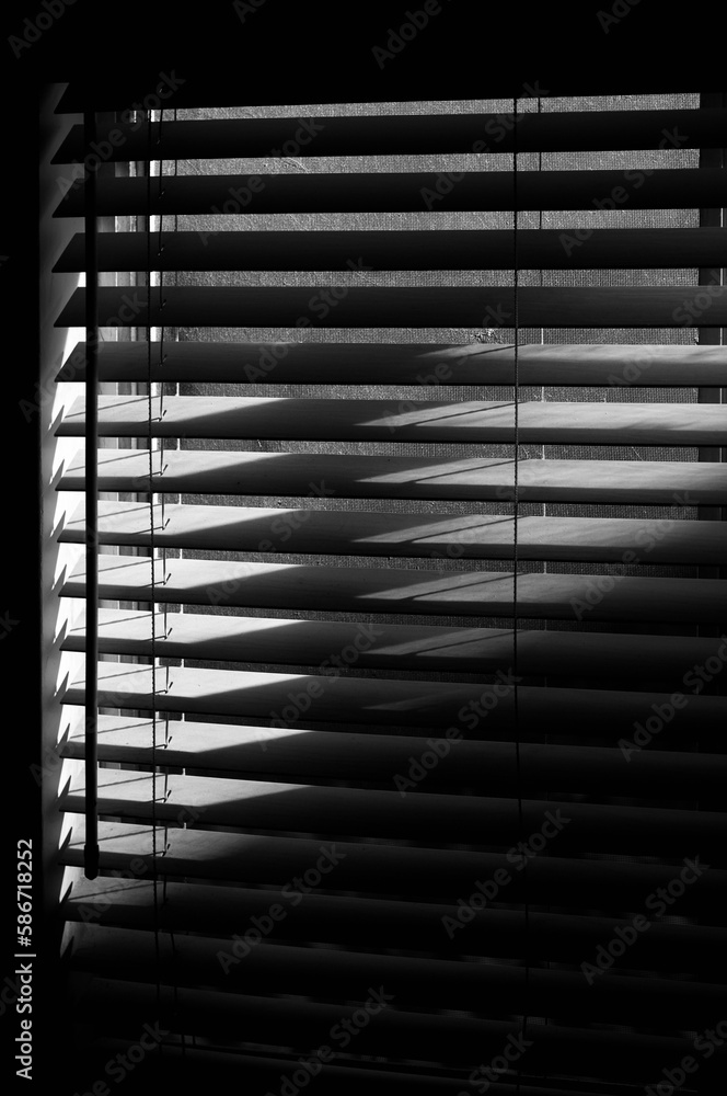 Window blinds partially open black and white film noir
Window blinds partially open black and white film noir