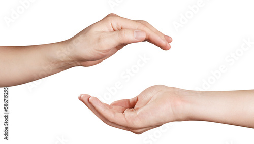 Hands holding something invisible or showing Yin and Yang sign, cut out