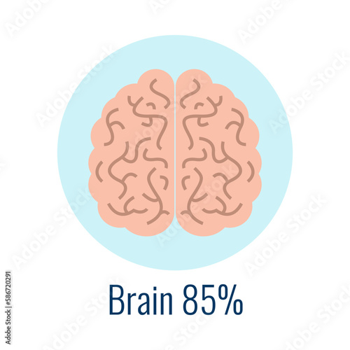 Water In Human Organ Icon