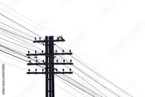 telegraph pole on transparent background For decorating projects easily