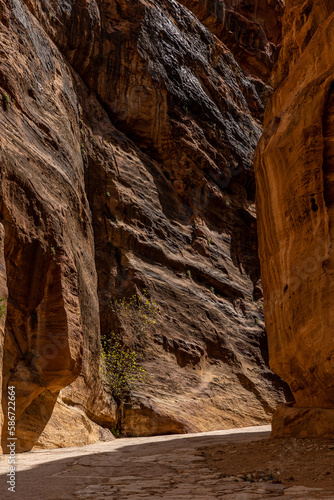 Petra, Jordan The narrow canyons on the Siq trail