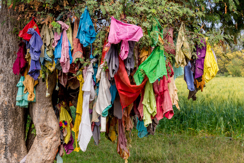 mass of colorful ribbons and cloths on a tree in india as culutre and religious reasons photo