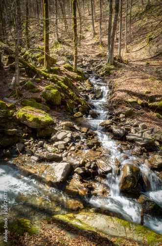 L'impeto dell'acqua di un torrente nel bosco in montagna a fine inverno photo